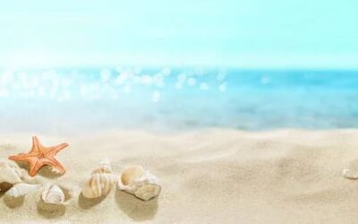 Période Estivale 2025